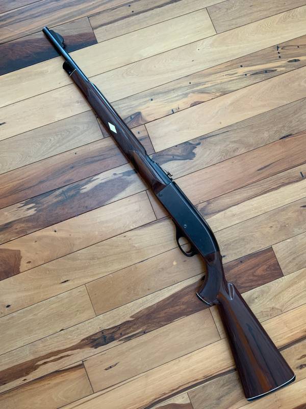 Remington Nylon 66 .22LR
