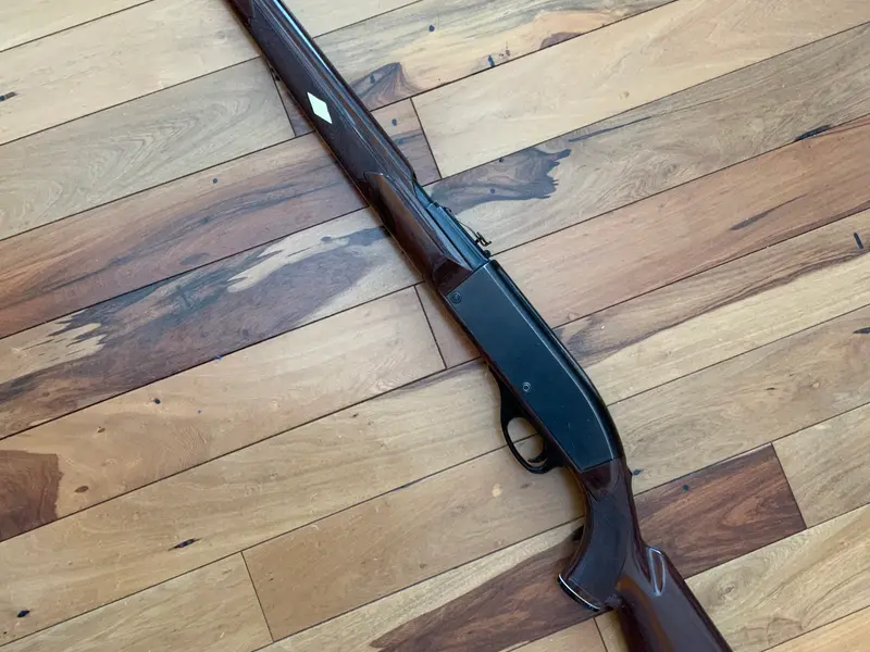 Remington Nylon 66 .22LR