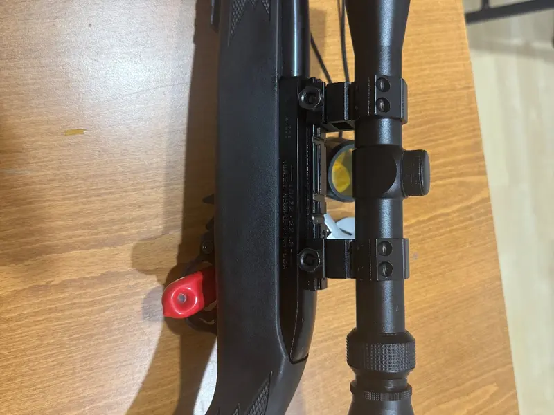 Ruger 10/22