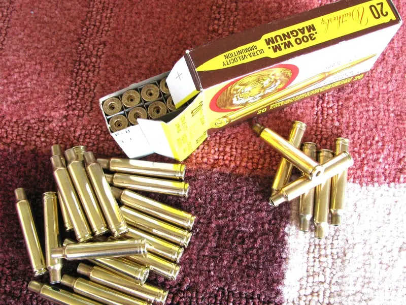 300 Weatherby Magnum Brass